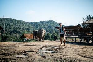 BIB: 
                            <button type="button" onclick="openModal(22423596)" class="btn btn-primary btn-sm float-right btn-popup" data-toggle="modal" data-target=".modal-high-quality">
                        <i class="fas fa-shopping-cart"></i> Add to Cart
                    </button>
                                            <button type="button" onclick="isThisMe(22423596, true)" class="btn btn-success btn-sm float-right btn-popup btn-isme hidden" data-toggle="tooltip" data-placement="bottom" title="นี่คือรูปของคุณใช่ไหม คลิกที่นี่เพื่อเอาเข้าอัลบั้ม">
                        <i class="fas fa-plus"></i> Add to album
                    </button>
                    <button type="button" onclick="isThisMe(22423596, false)" class="btn btn-warning btn-sm float-right btn-popup btn-isnotme hidden">
                        <i class="fas fa-ban"></i> Remove from album
                    </button>